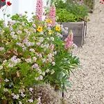 Ballyknocken Milking Parlour Self Catering Appartement Coolnakilly