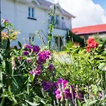 Ballyknocken Milking Parlour Self Catering Appartement *