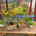 Appartement Ballyknocken Milking Parlour Self Catering *