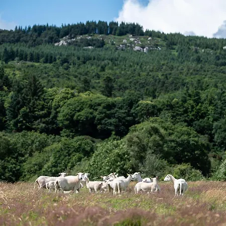 Apartment Ballyknocken Milking Parlour Self Catering