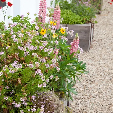 Ballyknocken Milking Parlour Self Catering Appartement Coolnakilly