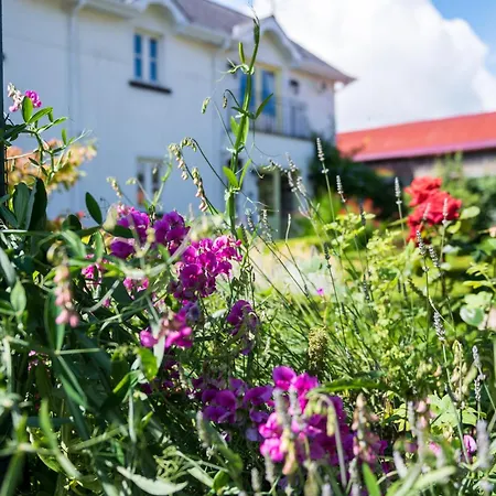 Ballyknocken Milking Parlour Self Catering Apartmán *