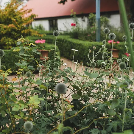 Ballyknocken Milking Parlour Self Catering Appartement