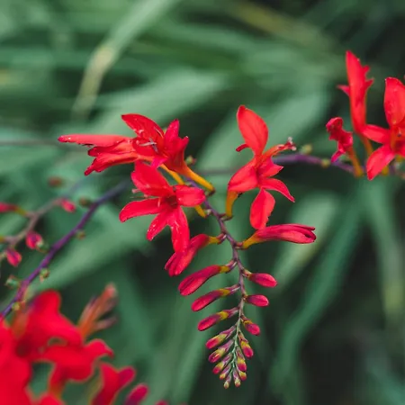 Appartement Ballyknocken Milking Parlour Self Catering