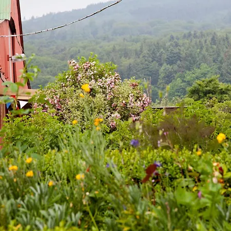 Ballyknocken Milking Parlour Self Catering *