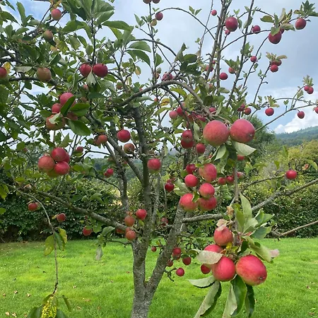 Ballyknocken Milking Parlour Self Catering Appartement