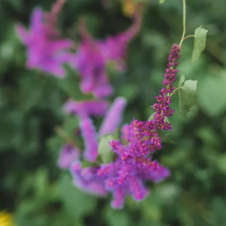 Ballyknocken Milking Parlour Self Catering 아파트 Coolnakilly