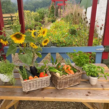 Appartement Ballyknocken Milking Parlour Self Catering *